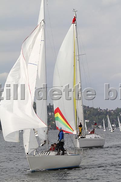 Bundefjorden2012 241.jpg